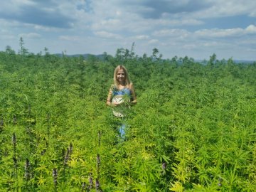 Interested in cannabis? Come and learn all about it