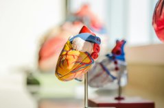 Cholesterol pod kontrolou: Praktické tipy