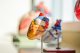 Cholesterol pod kontrolou: Praktické tipy
