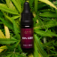 CBD oil 10% Full spectrum 10ml + Hemp Ointment 50ml