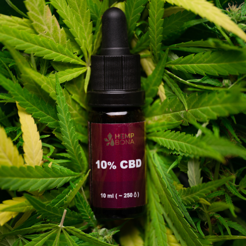 CBD oil 10% Full spectrum 10ml + Hemp Ointment 50ml